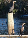 thumb_0910Winter_387.jpg