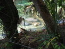 thumb_0910Winter_390.jpg