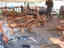 thumb_0910Winter_396.jpg