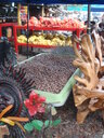 thumb_0910Winter_401.jpg
