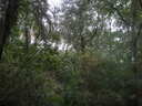 thumb_0910Winter_412.jpg