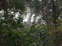 thumb_0910Winter_413.jpg