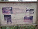 thumb_0910Winter_415.jpg