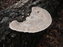 thumb_0910Winter_421.jpg