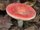 thumb_0910Winter_423.jpg