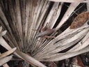 thumb_0910Winter_424.jpg