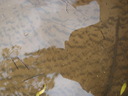 thumb_0910Winter_426.jpg