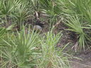 thumb_0910Winter_427.jpg