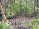thumb_0910Winter_428.jpg