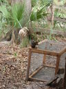 thumb_0910Winter_447.jpg