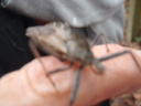 thumb_0910Winter_451.jpg