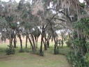 thumb_0910Winter_454.jpg