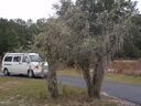 thumb_0910Winter_456.jpg