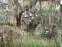 thumb_0910Winter_458.jpg