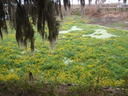 thumb_0910Winter_459.jpg