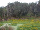 thumb_0910Winter_461.jpg