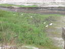thumb_0910Winter_465.jpg