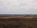 thumb_0910Winter_466.jpg