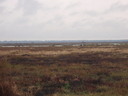 thumb_0910Winter_467.jpg