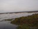 thumb_0910Winter_468.jpg
