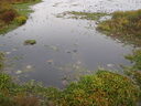 thumb_0910Winter_469.jpg