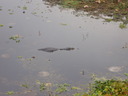 thumb_0910Winter_471.jpg