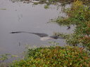 thumb_0910Winter_472.jpg