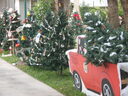 thumb_0910Winter_523.jpg