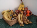 thumb_0910Winter_553.jpg