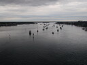 thumb_0910Winter_560.jpg