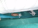 thumb_0910Winter_572.jpg