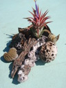 thumb_0910Winter_624.jpg