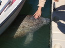 thumb_0910Winter_649.jpg