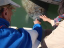 thumb_0910Winter_651.jpg