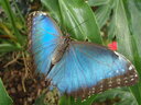thumb_0910Winter_661.jpg