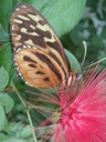thumb_0910Winter_666.jpg