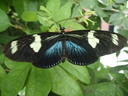 thumb_0910Winter_667.jpg