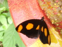 thumb_0910Winter_670.jpg