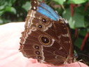 thumb_0910Winter_671.jpg