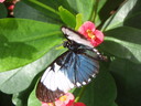 thumb_0910Winter_672.jpg