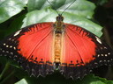 thumb_0910Winter_674.jpg