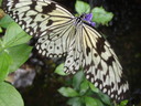 thumb_0910Winter_676.jpg