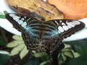 thumb_0910Winter_677.jpg