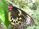 thumb_0910Winter_679.jpg