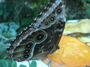 thumb_0910Winter_681.jpg