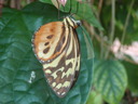 thumb_0910Winter_684.jpg