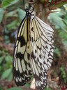 thumb_0910Winter_690.jpg