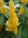 thumb_0910Winter_691.jpg