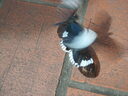 thumb_0910Winter_697.jpg