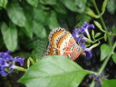 thumb_0910Winter_719.jpg